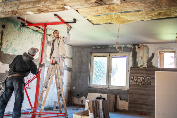 Best Insulation for New Construction  in Bellingham, WA