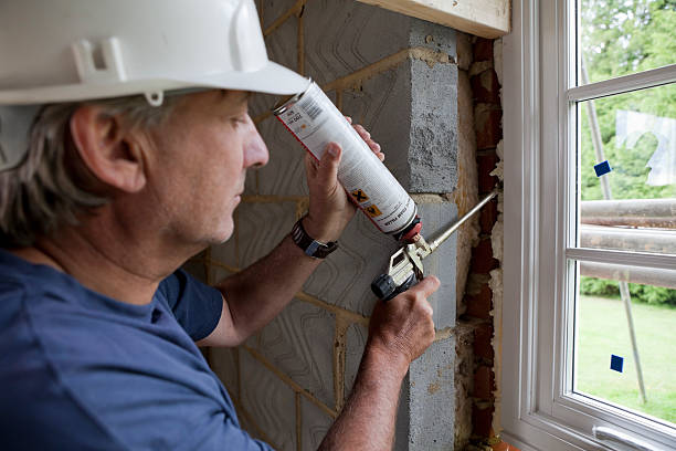 Best Insulation Contractor Near Me  in Bellingham, WA